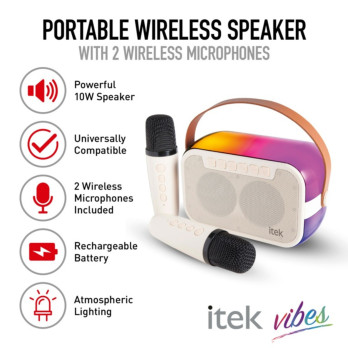 Itek Portable Bluetooth Speaker With 2 Microphones USB AUX and TF cards