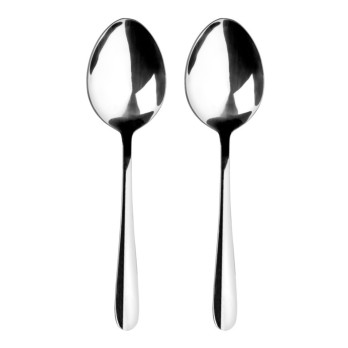 Tala Performance Stainless Steel Serving Spoons Set 2