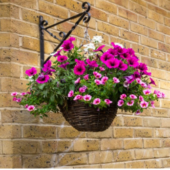 Ambassador Willow Hanging Basket 12" - Complete with liner & chain