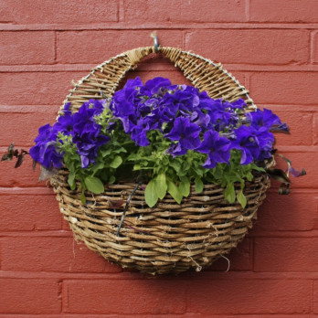 Ambassador Rattan Wall Basket 16"