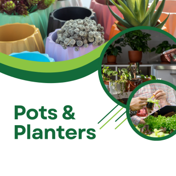 Pots & Planters