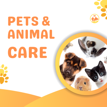 Pets & Animal Care cleaning, feeding, and caring essentials